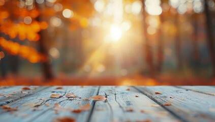 Poster - Autumn Leaves Glowing in Sunset Light at a Wooden Table in a Forest