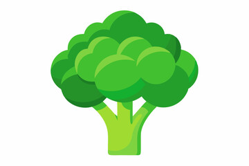 Sticker - Fresh broccoli vegetable minerals source