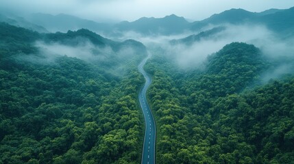 Wall Mural - A winding road through lush mountains and misty forests.