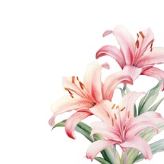 Wall Mural - Lily border watercolor flower plant white background.