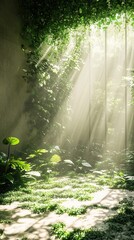 Poster - Sunlight Through Overgrown Jungle Window