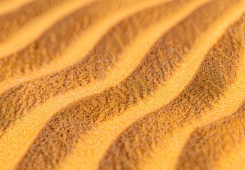 Canvas Print - Close-Up Desert Sand Texture with Ripples