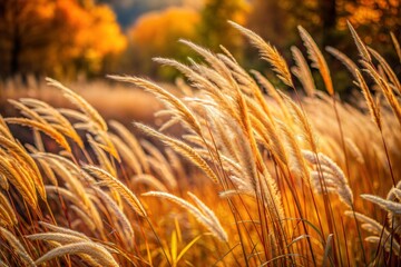 Golden grass swaying in wind at golden hour