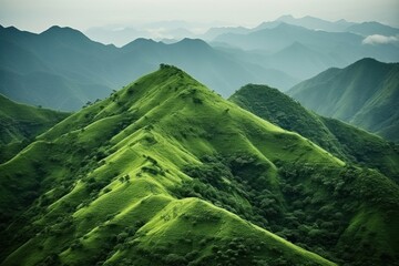 Sticker - Mountain green vegetation landscape.