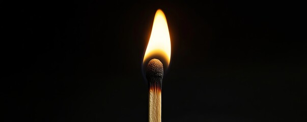 Wall Mural - burning match with bright flame on black background