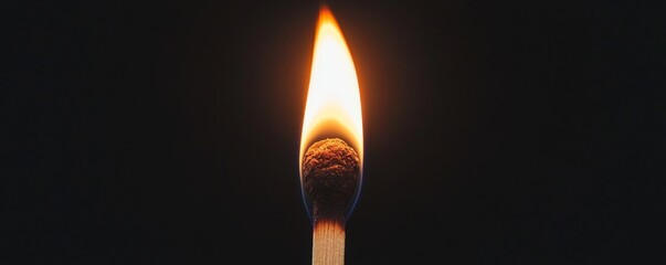 Wall Mural - burning matchstick with bright flame on black background