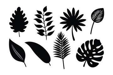 Set of black doodle style vector illustration. simple silhouettes of tropical leaves. line drawing palm leaves, isolated on white background