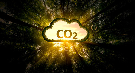 Wall Mural - cloud with co2 symbol surrounded by trees highlighting environmental impact and climate change