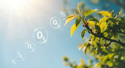 Wall Mural - leaves producing oxygen bubbles under sunlight with a clear blue sky