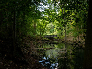  Bridge over a river in the woods