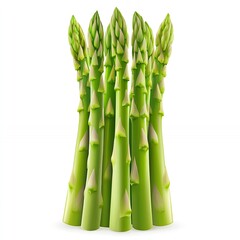 Canvas Print - Fresh green asparagus spears on a white background.