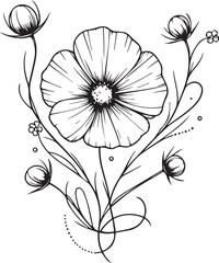 Wall Mural - Set of a decorative stylized cosmos flower isolated on a white background. Highly detailed vector illustration, doodling and zentangle style, tattoo design blossom cosmos, cosmos flower line drawing