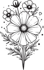vector sketch of cosmos flowers. vector illustration of a beautiful cosmos flower with a bouquet of 