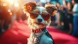 © Johannes - Trendy Pet Influencer: a trendy pet influencer attending a red carpet event or posing for a photoshoot, surrounded by adoring fans and photographers.