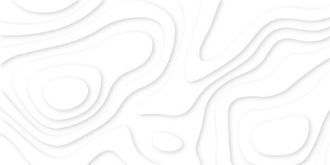 Poster - Abstract paper carve template. abstract white and gray 3d papercut topography relief vector background illustration. topographic canyon geometric map relief texture with curved layers and shadow.