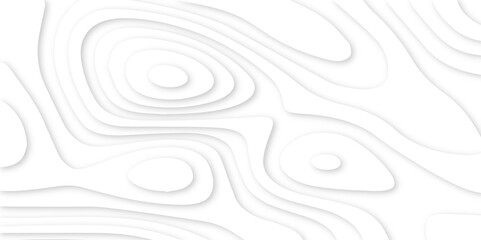 Poster - Abstract paper carve template. abstract white and gray 3d papercut topography relief vector background illustration. topographic canyon geometric map relief texture with curved layers and shadow.