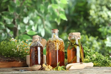 Wall Mural - Different natural tinctures and herbs on wooden table outdoors