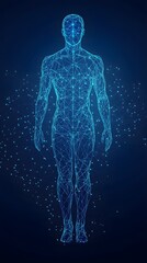 abstract digital human body. polygonal wireframe silhouette. low poly anatomy blue background.