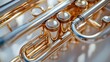 © Archana - Crisp Image Gold Trumpet Instrument Showcasing Stunning Brass Finish