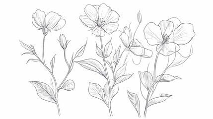 Wall Mural - Set of botanic outline wildflowers and leaves. hand drawn floral abstract pencil sketch field flowers, branch isolated on white background line art illustration. Line Art. Illustration