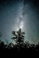 Wall Mural - Space with galaxy . Milky way on the blue sky .Dark and cold night at summer . Trees on the backgound with stars . Power lines in the night , powerstation and galaxy