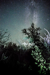 Wall Mural - Space with galaxy . Milky way on the blue sky .Dark and cold night at summer . Trees on the backgound with stars . Power lines in the night , powerstation and galaxy