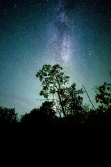 Wall Mural - Space with galaxy . Milky way on the blue sky .Dark and cold night at summer . Trees on the backgound with stars . Power lines in the night , powerstation and galaxy