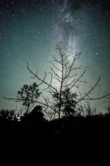 Wall Mural - Space with galaxy . Milky way on the blue sky .Dark and cold night at summer . Trees on the backgound with stars . Power lines in the night , powerstation and galaxy