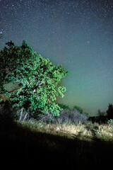 Wall Mural - Space with galaxy . Milky way on the blue sky .Dark and cold night at summer . Trees on the backgound with stars . Power lines in the night , powerstation and galaxy