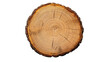 © Krtola  - tree rings in a cut log on a transparent background