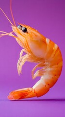 Wall Mural - Close-up of shrimp on purple background, vibrant seafood concept