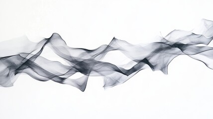 Abstract black and white smoke wave on white background.