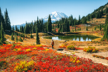 Woman is hiking on Naches Peak Loop Trail, autumn colors in Mt. Rainier National Park	
