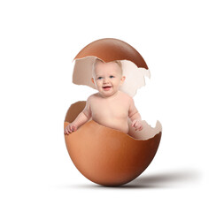 Canvas Print - Cute little baby in eggshell on white background