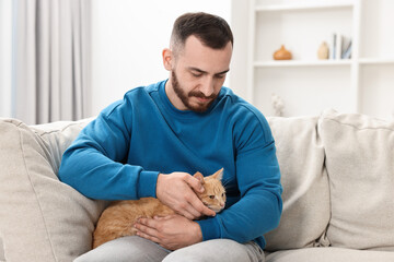 Sticker - Man petting cute ginger cat on sofa at home