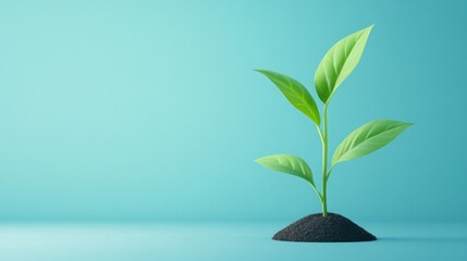 Canvas Print - A Small Sprout on a Blue Background