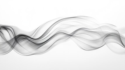 Poster - Elegant Flowing Black and White Abstract Lines