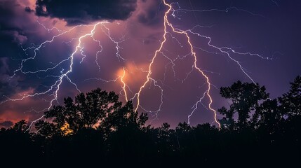 Wall Mural - lightning dancing across a dark sky during a summer thunderstorm, with silhouetted trees in the fore