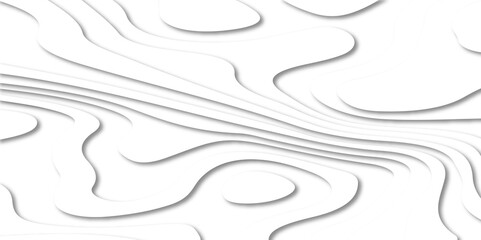 Poster - 3D Papercut Stylized White topographic contour scheme and terrain. Abstract geometric layered curve line white background. papercut on white contours topography stylized height of the lines, Abstract 