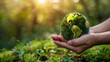 © DSN_1 - Protecting Our Planet: Hands Holding a Miniature Earth