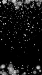Wall Mural - キラキラとふわふわな雪 縦[4K-背景透過] Snowflake Series:Sparkling and fluffy snow[with Alpha Channel / Transparent Background]4K