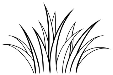 Grass silhouette line art  vector illustration on white background