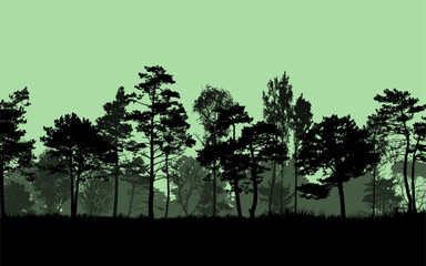 Jungle landscape nature woods vector illustration background trees sky bright color view banner poster wallpaper