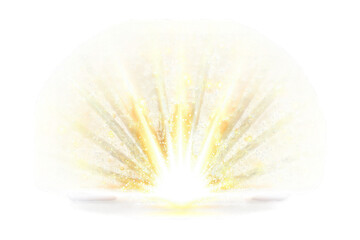 Poster - A radiant light emerging from a shell, symbolizing beauty and nature's treasures, ideal for backgrounds and artistic projects.
