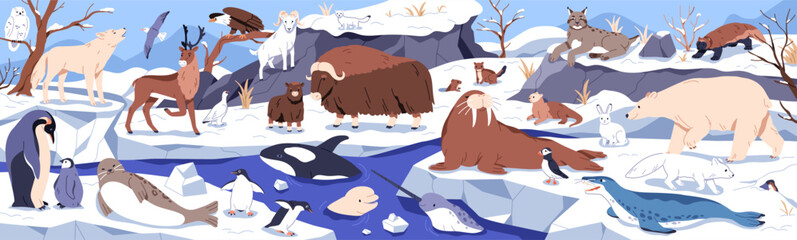 arctic animals, north pole landscape. ice nature fauna, polar bear, muskox, penguin, walrus and seal