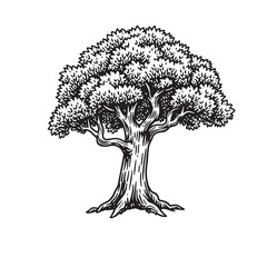 Vector Illustration of  an illustration of a tree with leaves