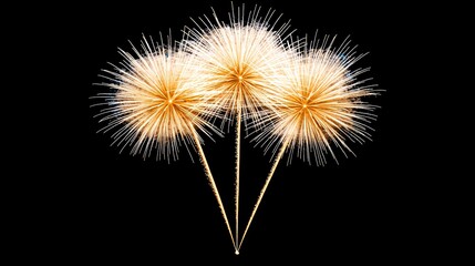 Poster - golden fireworks bursting in the night sky, symbolizing grandeur and celebration, gold fireworks, ce