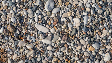 Poster - Smooth pebbles of various colors and sizes cover the sandy beach, illuminated by sunlight on a clear day
