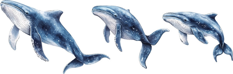 watercolor vector illustration of cute blue whales and dolphins on a white background
