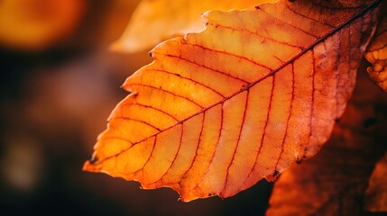 Poster - Close-Up of Vibrant Autumn Leaf